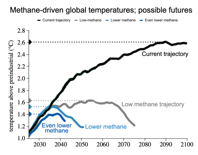 A graph showing global peak temperatures under various methane removal scenarios